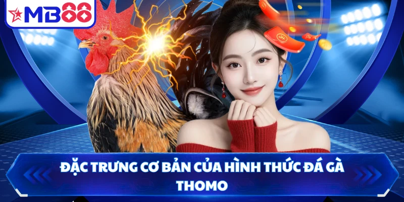 Đặc trưng cơ bản của hình thức đá gà Thomo