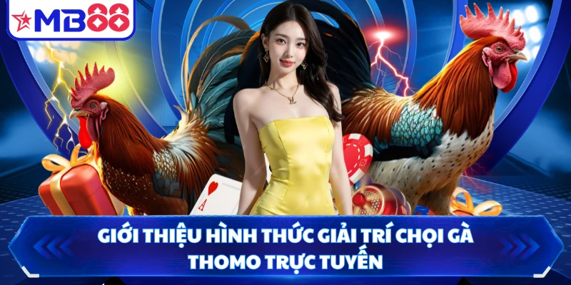 Giới thiệu hình thức giải trí chọi gà Thomo trực tuyến