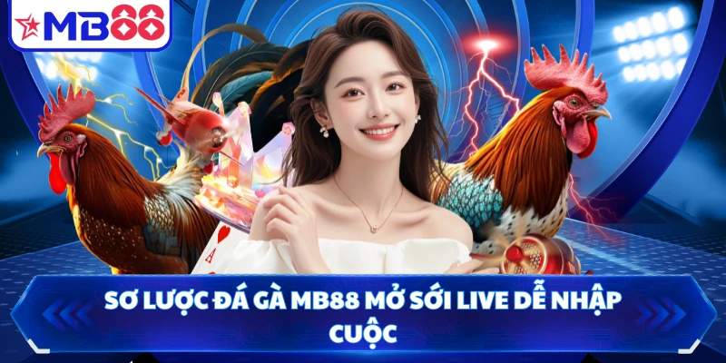 Sơ lược đá gà MB88 mở sới live dễ nhập cuộc